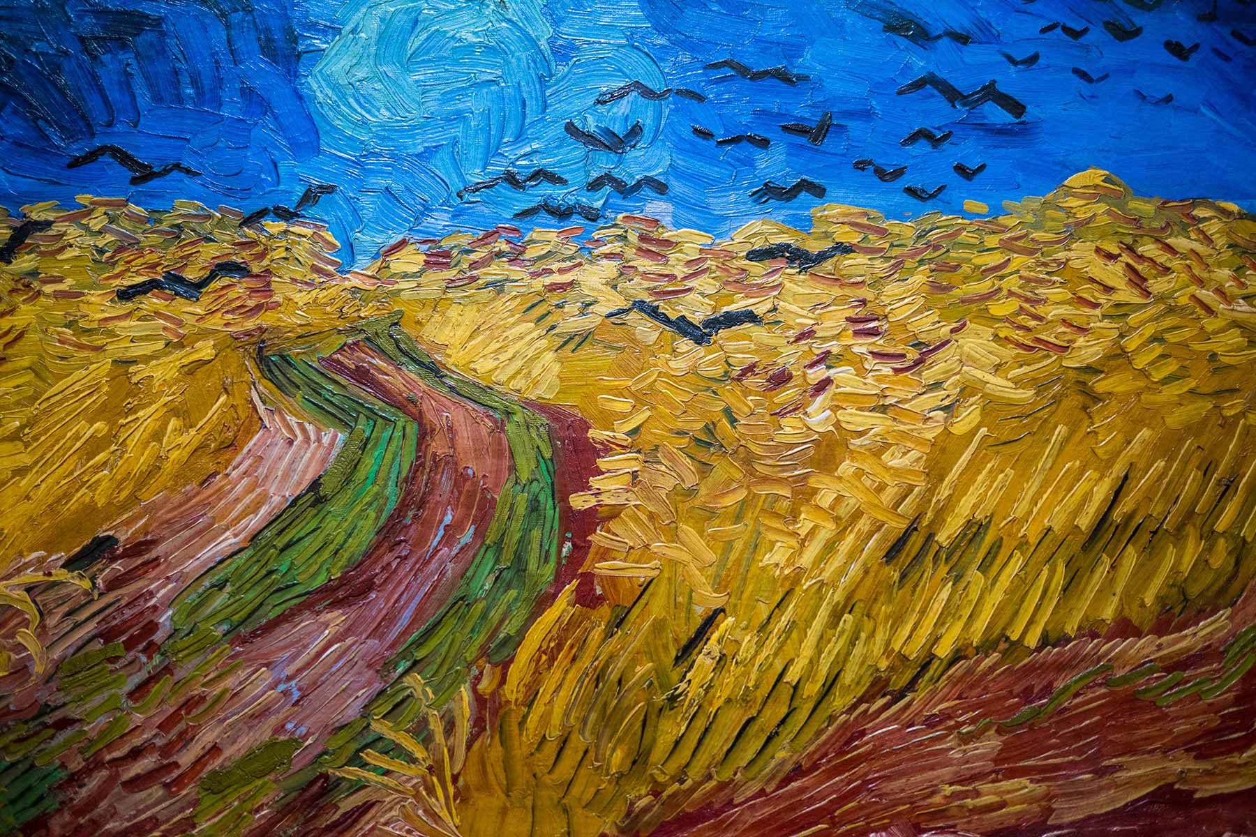 Photographies musée d'Orsay tableau van Gogh