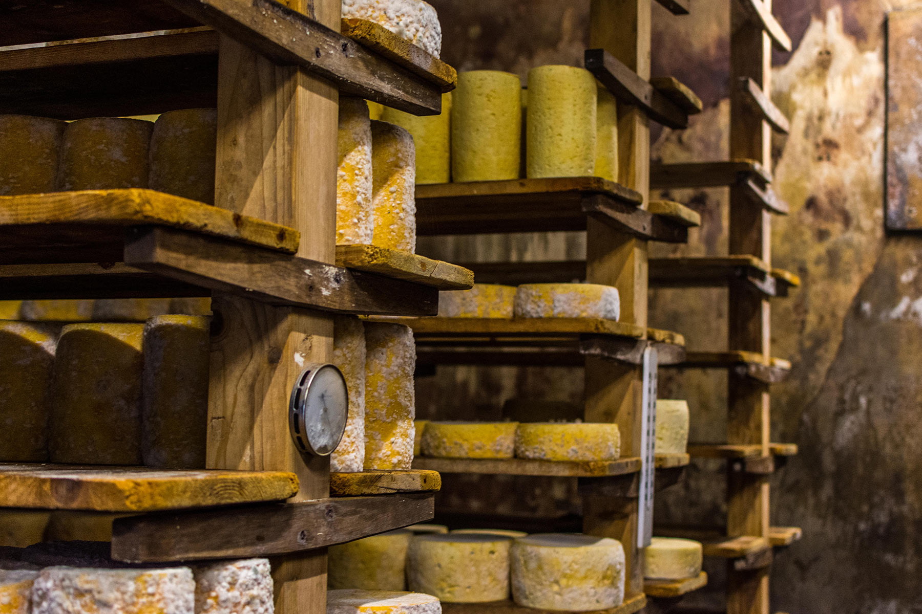 reportage photo fromagerie