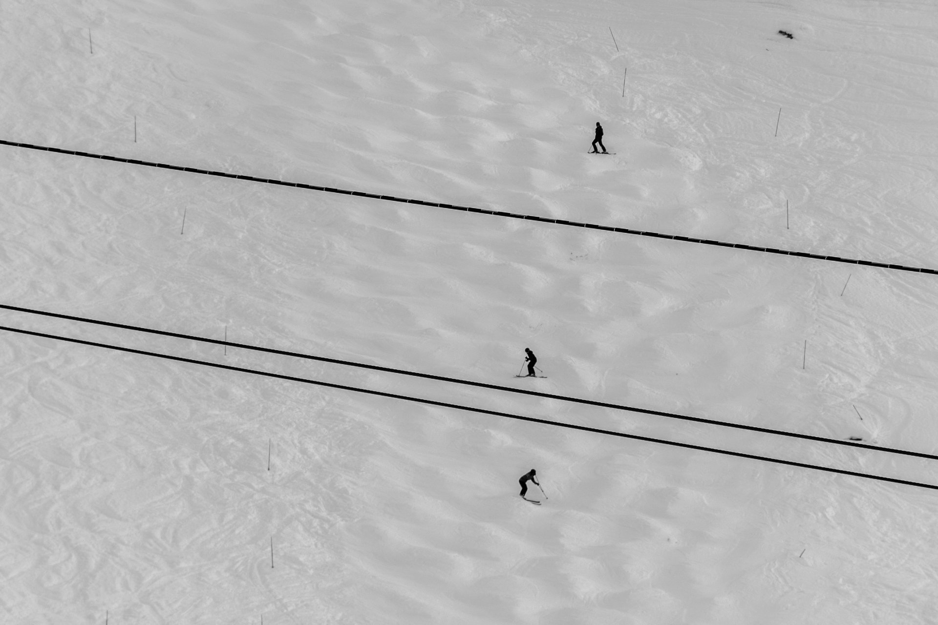 photo noir et blanc sportif ski