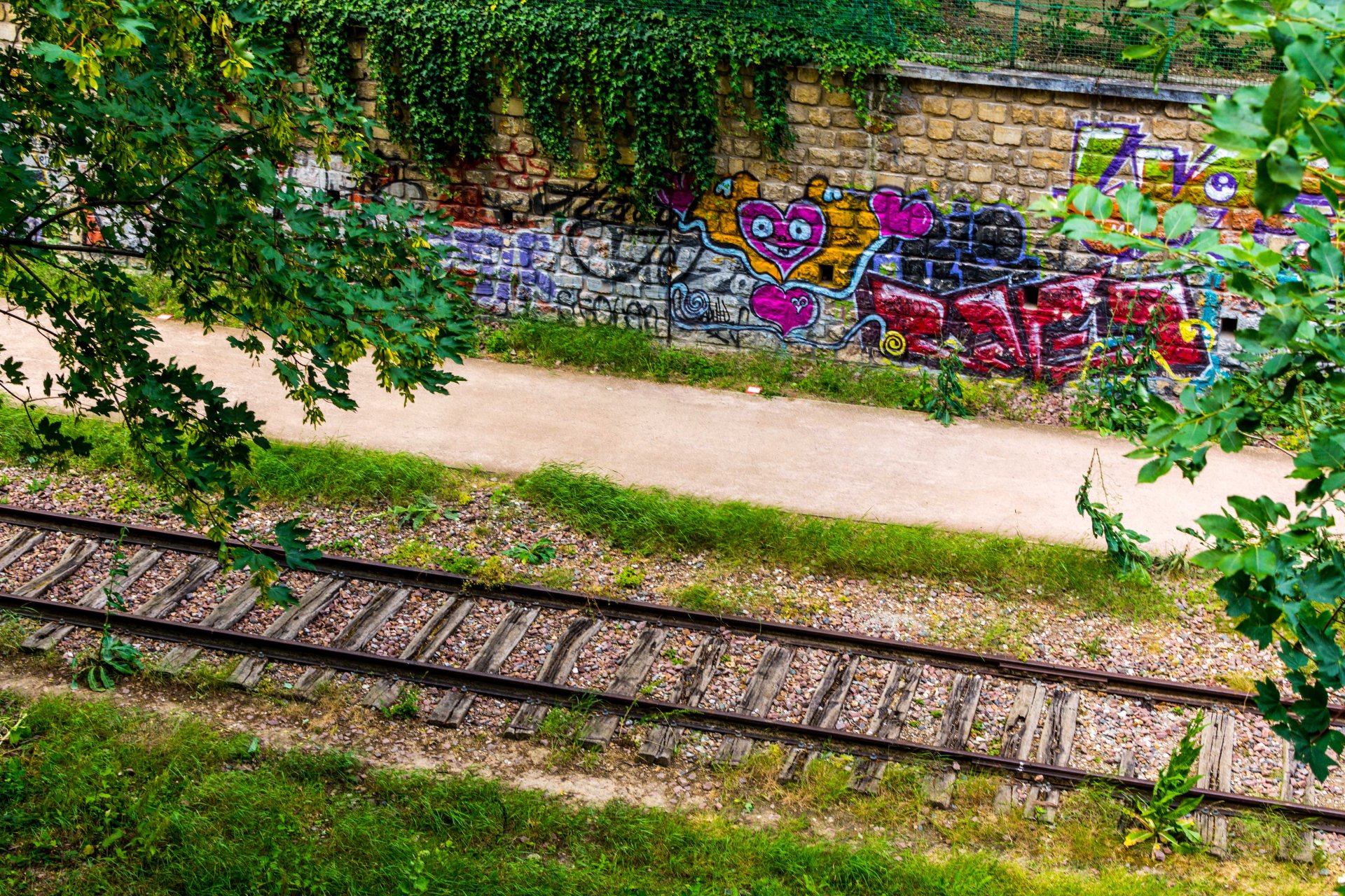 reportage photo paris 15 petite ceinture