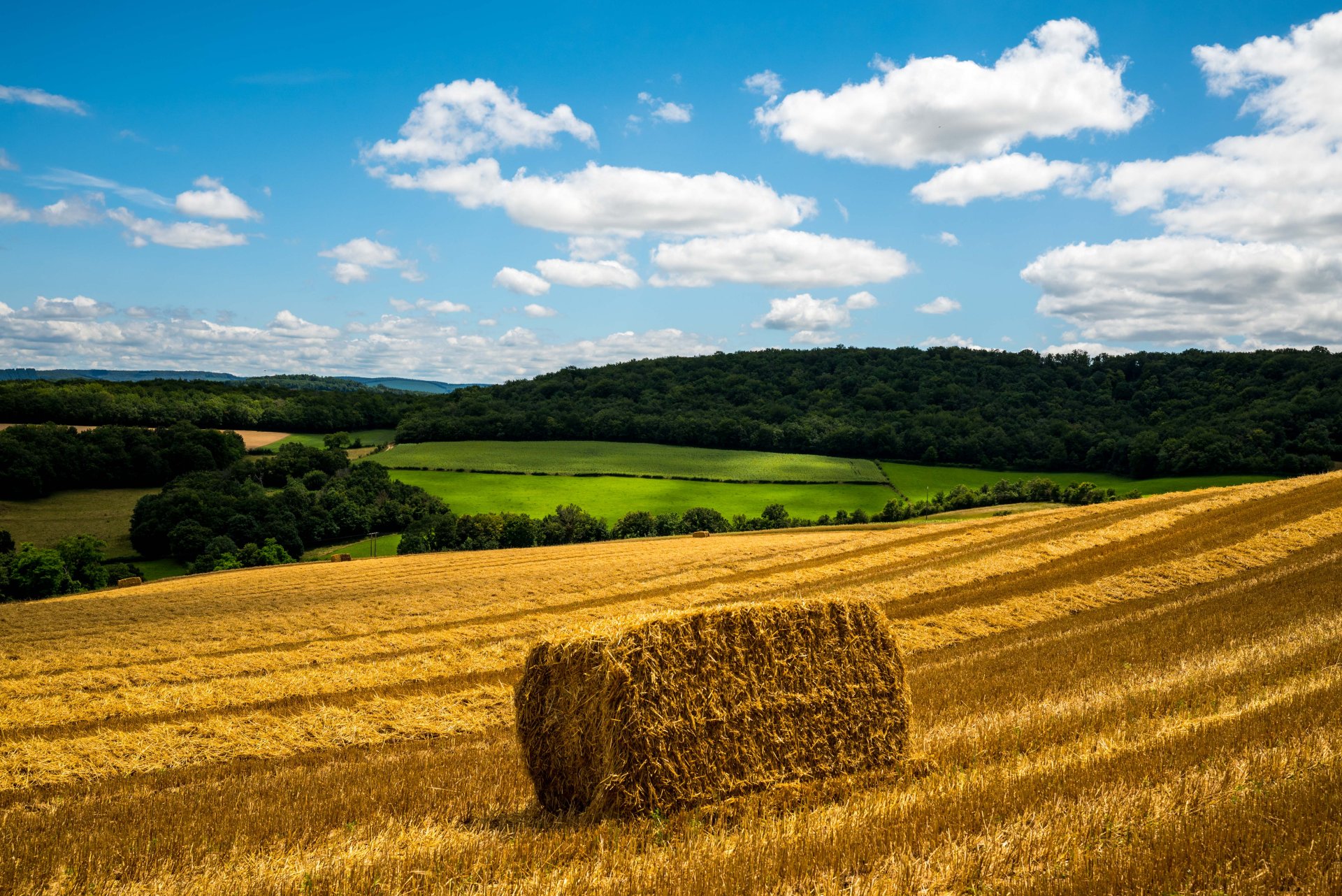 reportage photo en bourgogne