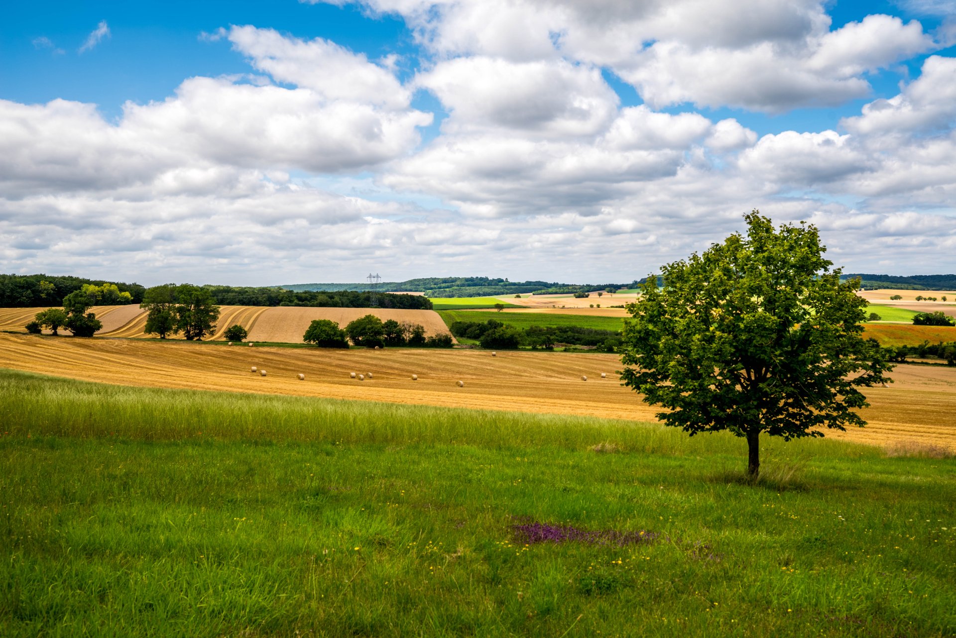 reportage photo événement en bourgogne