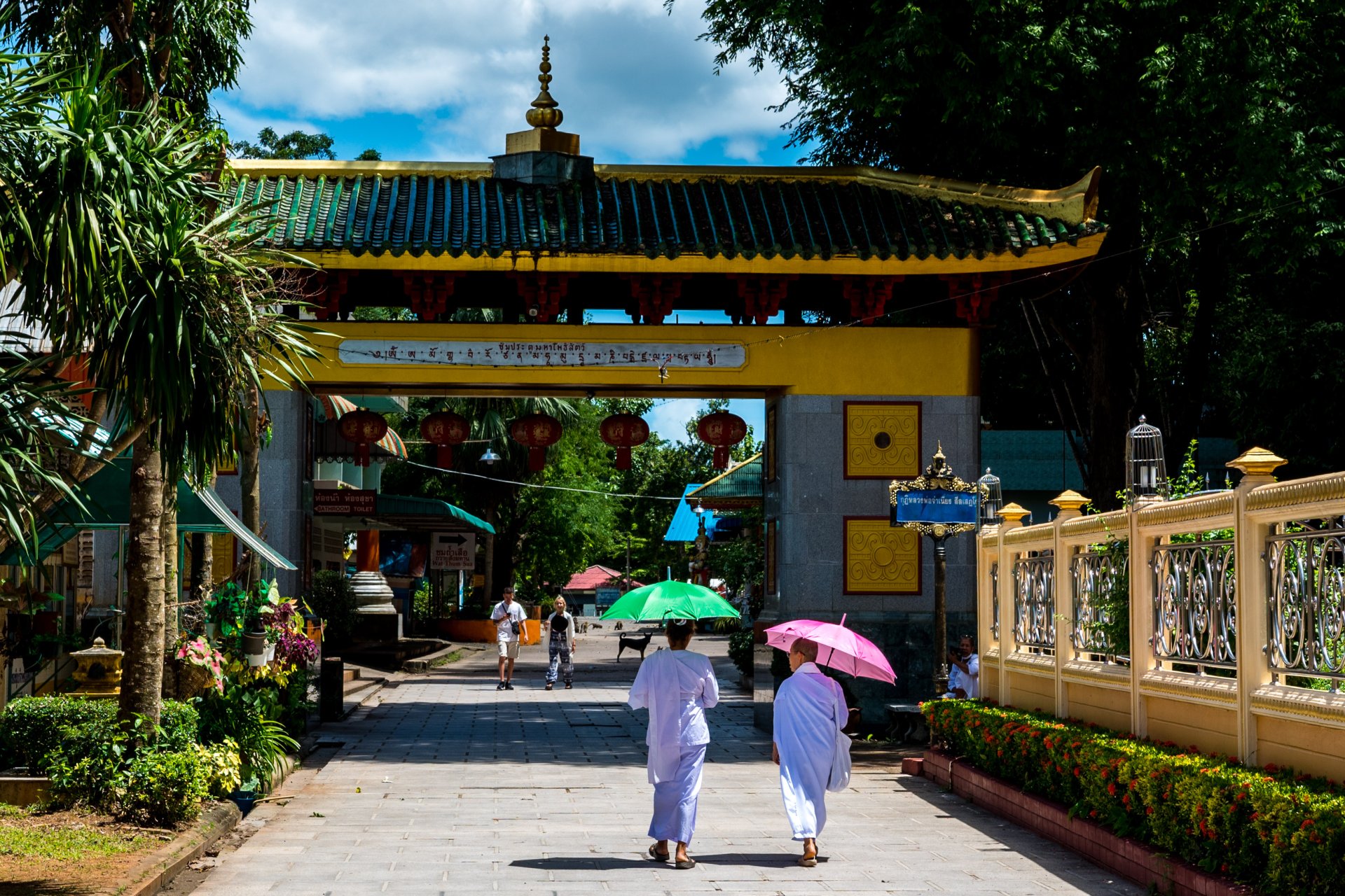 reportage photo moine en thailande